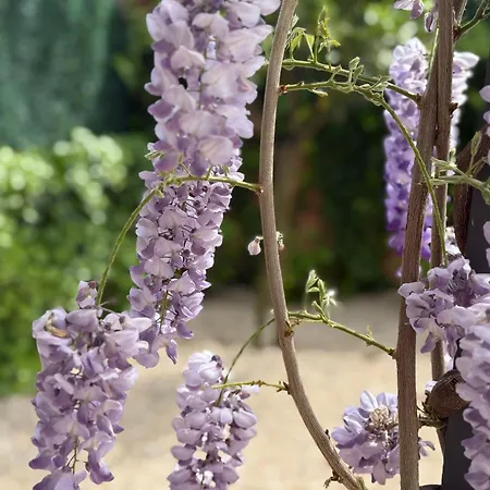 Bakea Apto Con Jardin Privado *
