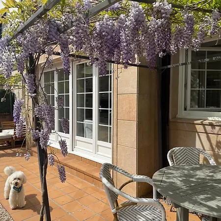 Bakea Apto Con Jardin Privado 公寓 巴基奥