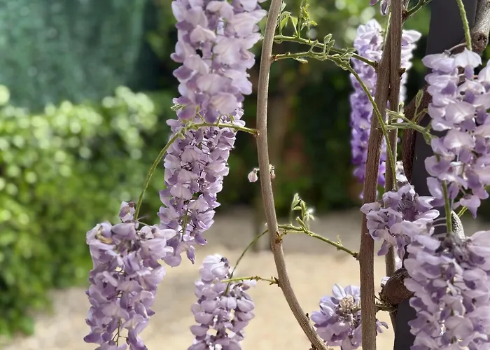 Bakea Apto Con Jardin Privado *